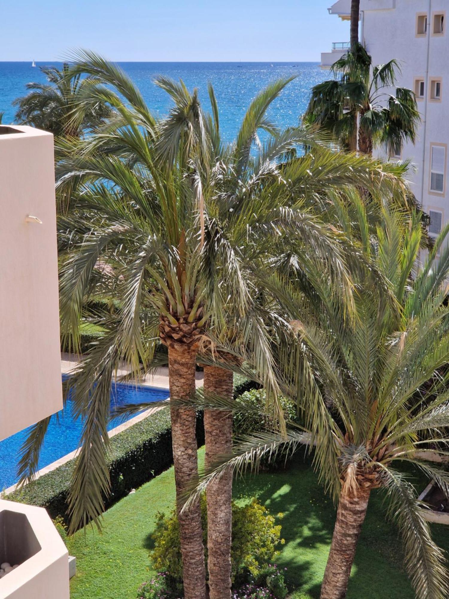 Azul - Estudio Con Vistas Al Mar, Piscina Y Acceso Directo A La Playa By Redi Altea Kültér fotó